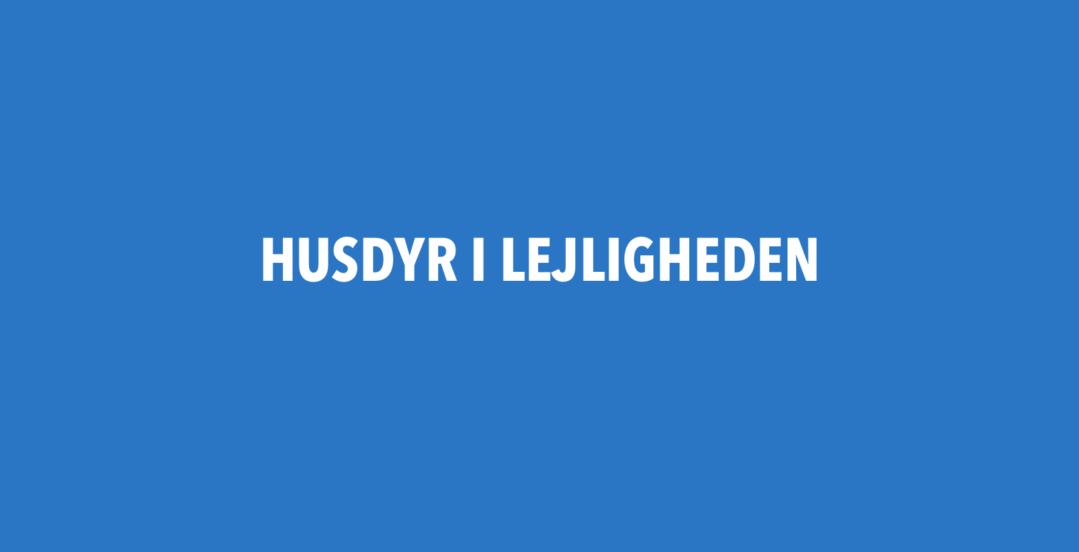 husdyr i lejemålet