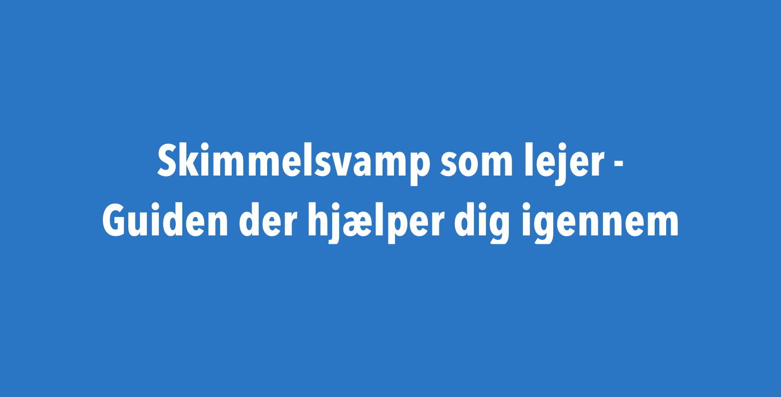 Skimmelsvamp - Hvad gør man som lejer